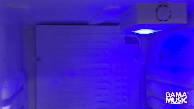 Marshall Fridge - Unboxing