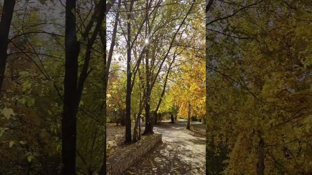 Унылая пора, очей очарованье... смотреть онлайн