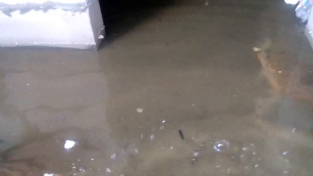 подвал без гидроизоляции