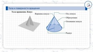 Тела и поверхности вращения