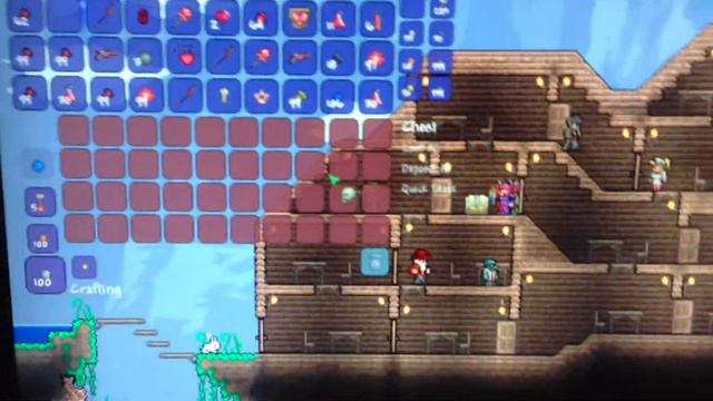 Terraria 1.2 NEW Vanity Item "SKULL" смотреть онлайн