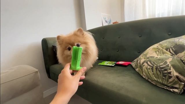 Получится ли у Баси почистить себе зубы? смотреть онлайн