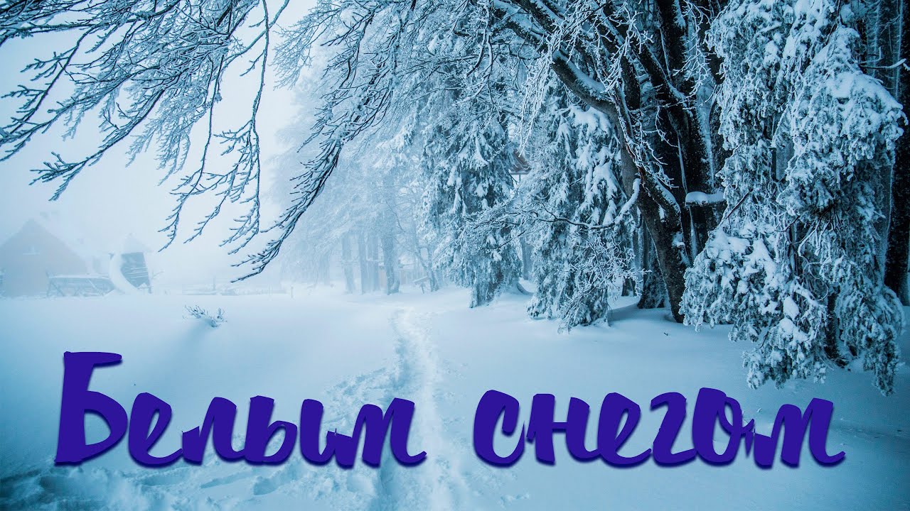 БЕЛЫМ СНЕГОМ / Разбор на гармони по цифрам смотреть онлайн