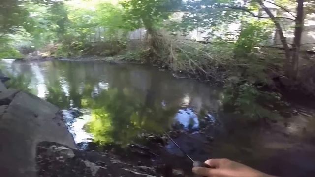 Ловля голавля в центре города смотреть онлайн