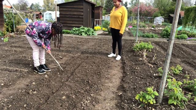 COMO FOI NOSSO DIA DO TRABALHO! смотреть онлайн