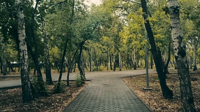 Брат и его жена с тещей, решили выселить меня из моей квартиры, которую я сам купил смотреть онлайн