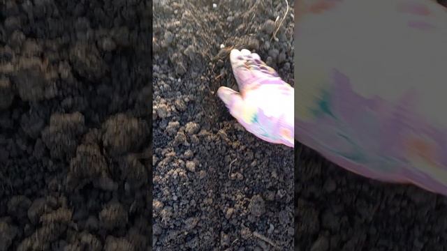 СРОЧНО СЕЕМ!!! смотреть онлайн