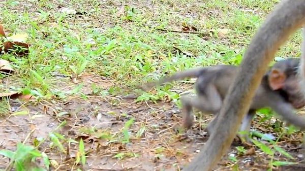 Mom Dana torturing baby Daniela too hard, Daniela cry very loud