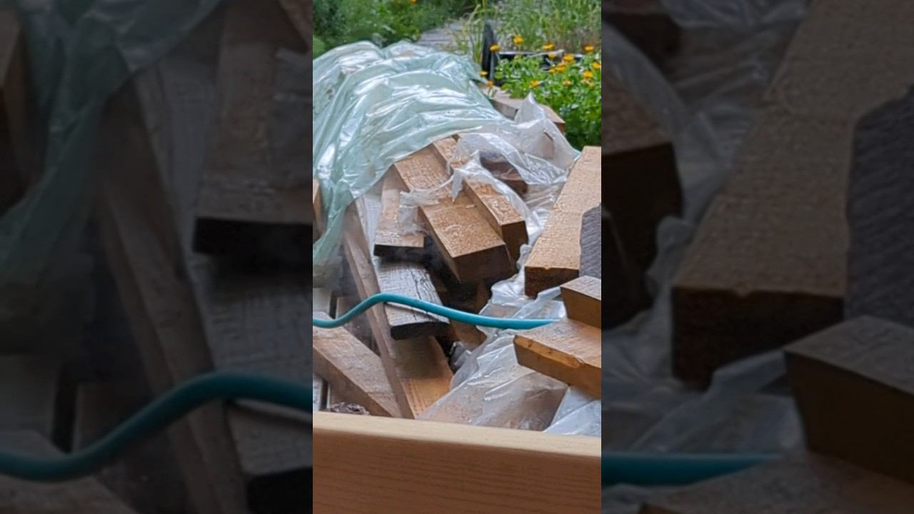 испарение от дождя #shorts #wether #rain смотреть онлайн