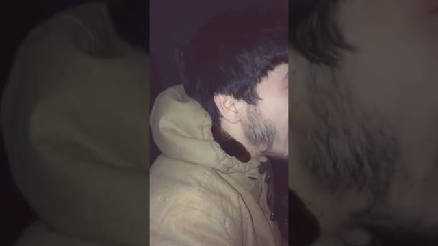 перепел тамаду смотреть онлайн