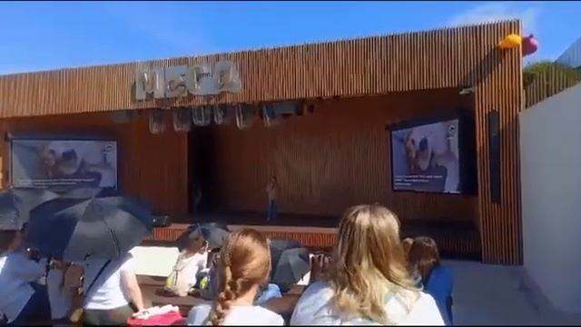 Заключительный фестиваль ЗООФРЕНДЛИ этого сезона: как это было смотреть онлайн