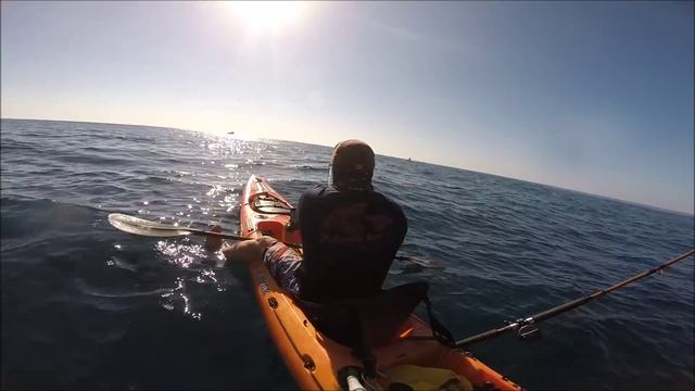 Afternoon Special: 25# Yellowtail on the Megabait, Kayak Fishing 1080p смотреть онлайн
