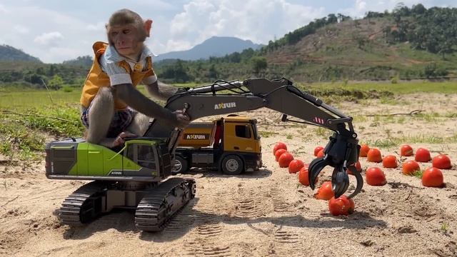 Monkey Baby Bim Bim Go To The Supermarket To Buy Kitchen Utensils And Eats Eggs With Puppy