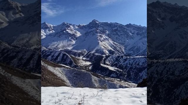 Традиционная смотреть онлайн