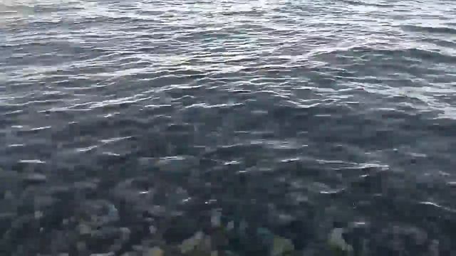 Море, горизонт, берег… смотреть онлайн