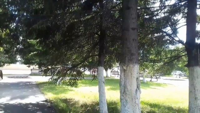 Прогулка к ЦДК. Белово смотреть онлайн