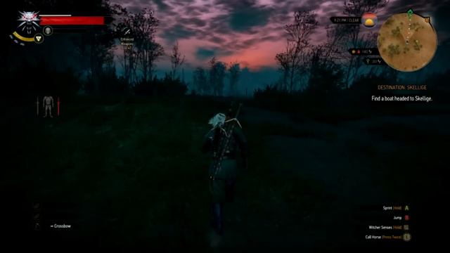 The Witcher: Wild Hunt - Part 31 смотреть онлайн