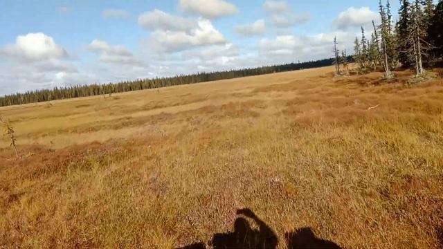 Каракат ЗИС-5, 25 км\ч по болоту на 4 передаче. смотреть онлайн