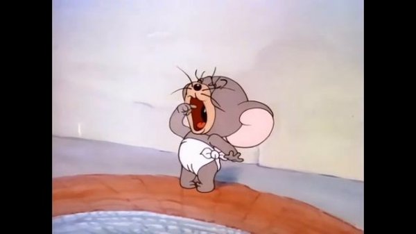 Nibbles Showing He's Hungry for 10 Hours