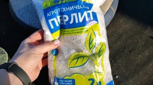 ЧТО ВНЕСТИ В ЛУНКУ ПРИ ПОСАДКЕ РОЗ? ВНЕСИТЕ 2 УДОБРЕНИЯ! ДЛЯ ОБИЛЬНОГО И ПЫШНОГО ЦВЕТЕНИЯ РОЗ