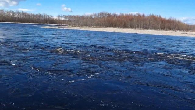 Ловля гольца (мальмы) в Магадане в последние дни весны смотреть онлайн