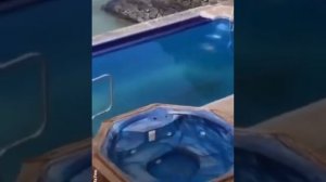 Подвинься мужик!