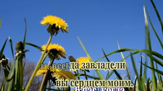 Городские цветы- караоке смотреть онлайн