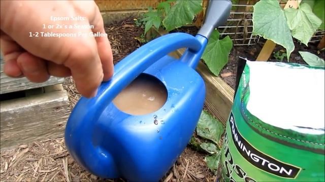 Complete Guide for Growing Cucumbers: Seed Starting, Transplanting, Fertilizing, Trellsing & Pests смотреть онлайн