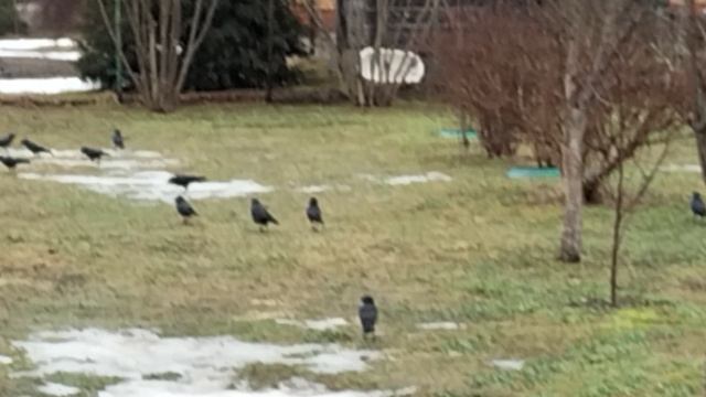 Весна 2023. Март.