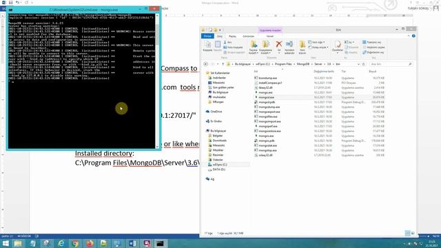 How to Connect MongoDB Compass to Localhost смотреть онлайн