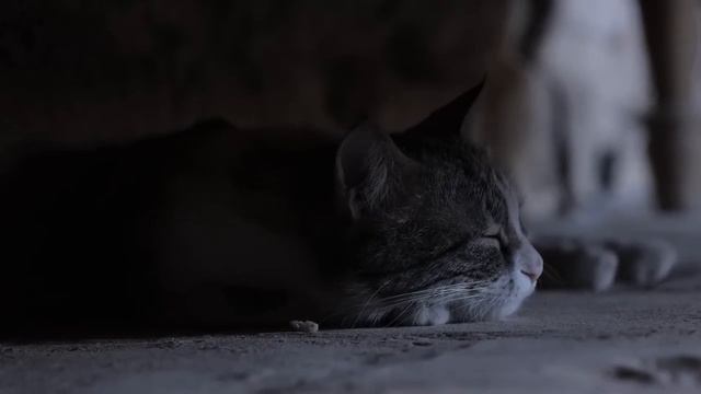 Случайно узнала, чем кормит моя мама внуков, пока они с ней на даче смотреть онлайн