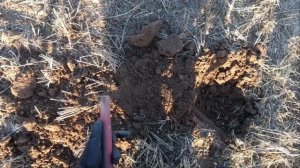 ПЕРВЫЙ КОП С XP DEUS 2/ XP DEUS 2 В ДЕЛЕ/КОП ЗА ЧАС/2022