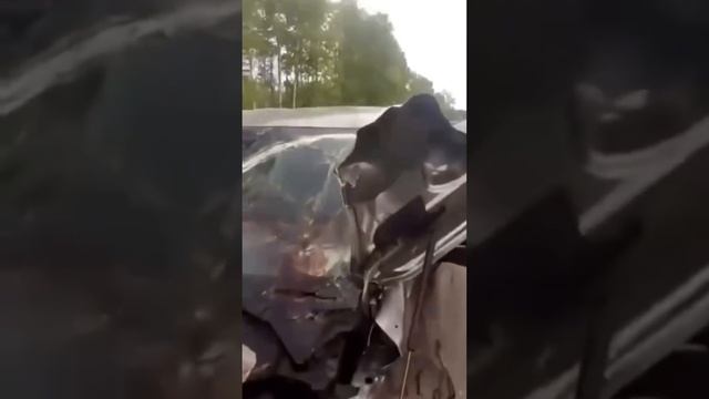 Медведь и лексус. смотреть онлайн