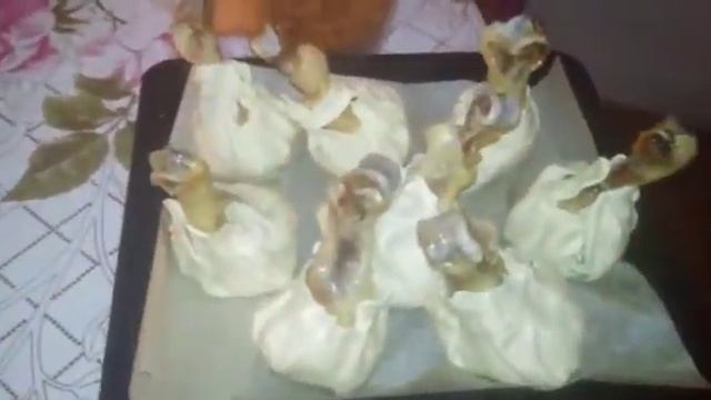 Ножки в слоенном тесте... смотреть онлайн