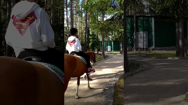 Ничего особенного, Ламус катается на лошади)))