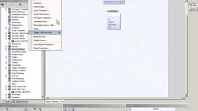 ERwin Data Modeler DB2 For LUW Editors
