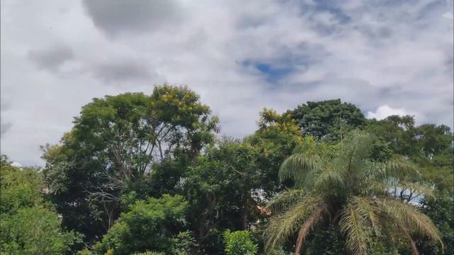 Herbie Hancock & Wayne Shorter, Middelheim (2014) смотреть онлайн