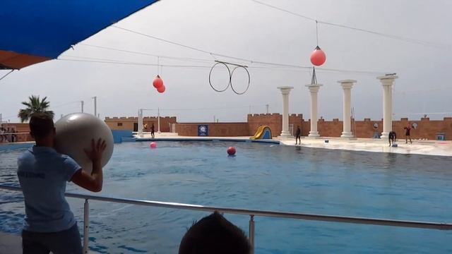 Турция, Алания, Дельфинарий / Turkiye, Alanya, Dolphinarium