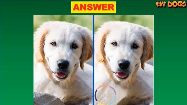 Find The Difference Dog | Spot The Difference | Can You Find All Difference In 15S?PT.1 смотреть онлайн