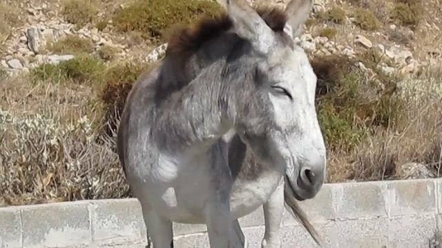 Canon PowerShot A2300 review - LetsGoDigital смотреть онлайн