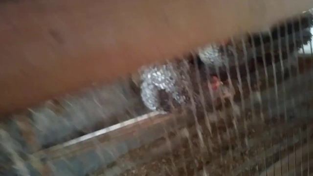 Курятник брама кохинхин. #брама #кохинхин #куры # смотреть онлайн