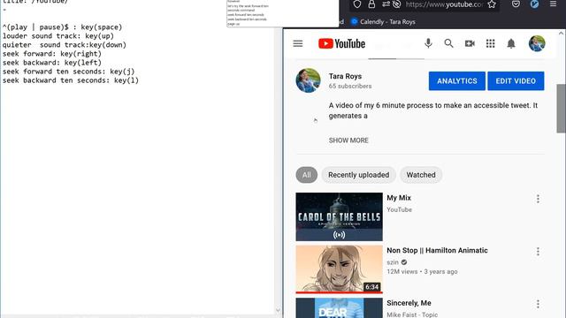 Creating Voice Commands For Youtube: Debugging Vimium and Youtube Keyboard Shortcut Conflicts смотреть онлайн