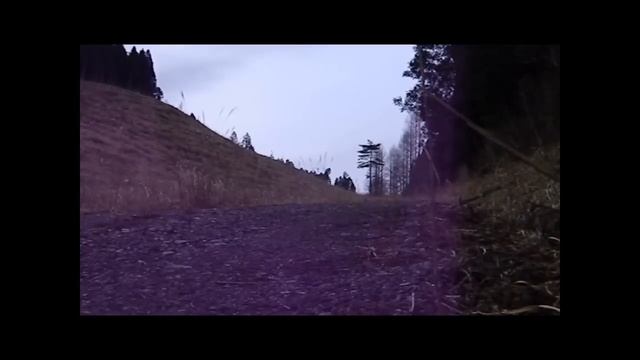 白髪狗留孫林道（しらかみくるそんりんどう） смотреть онлайн