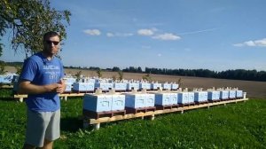Эксперимент новой технологии пчеловодства