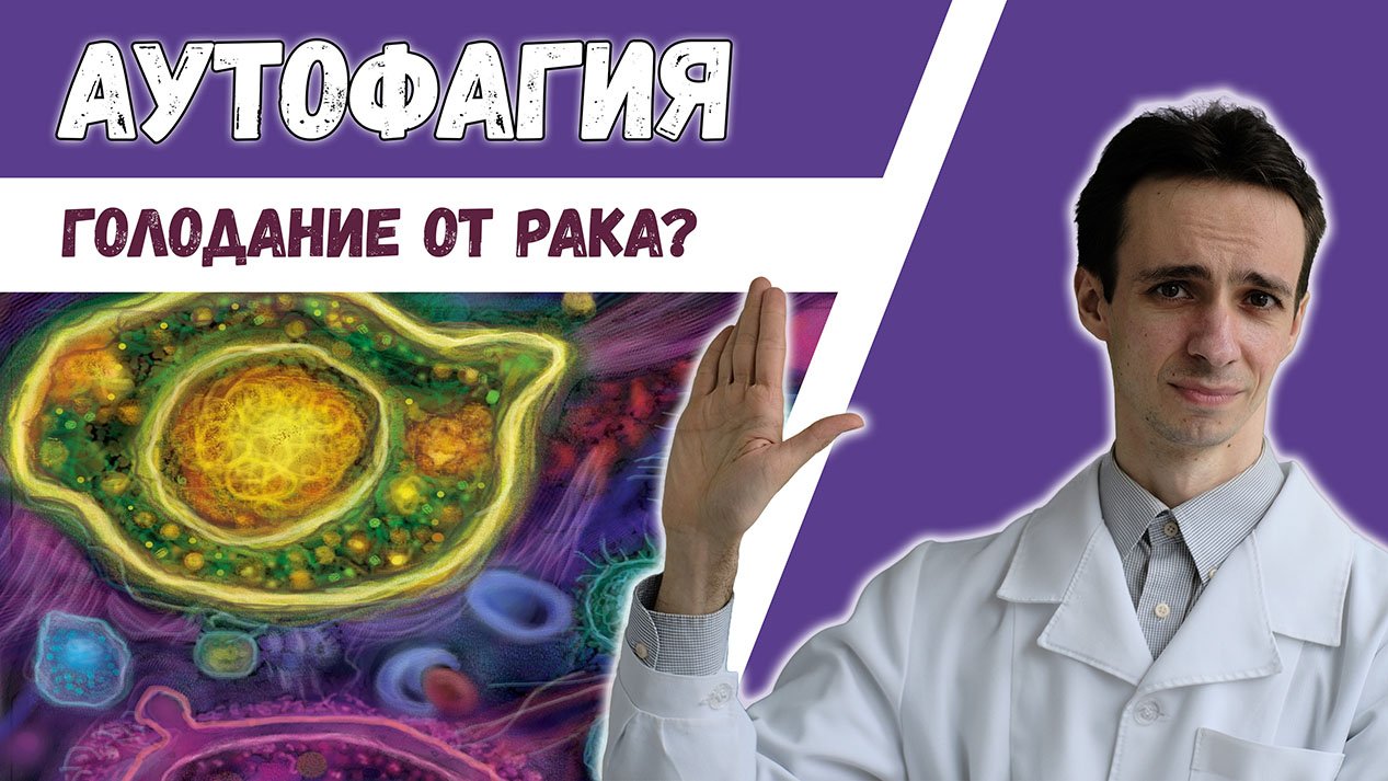 АУТОФАГИЯ ? Стоит ли лечить РАК голоданием?