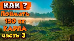 Как поймать МНОГО КАРПА на ФЛЭТ и карповые монтажи