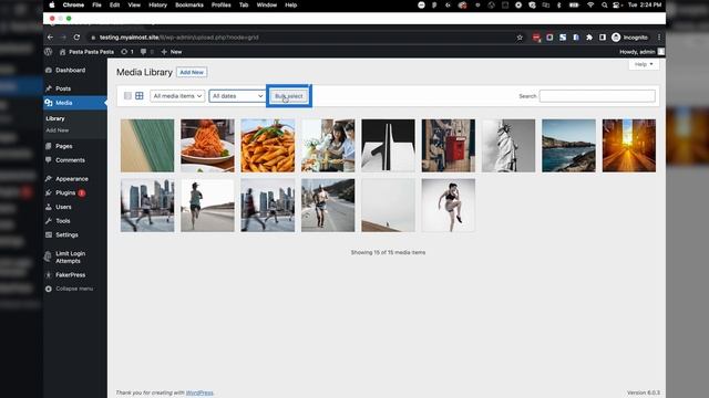 The Media Library - How to Manage Your Media In WordPress смотреть онлайн