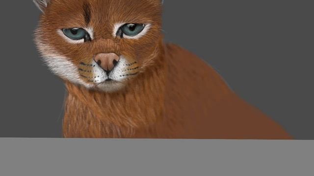 Как красиво нарисовать каракала. заключительная часть. Autodesk Sketchbook смотреть онлайн