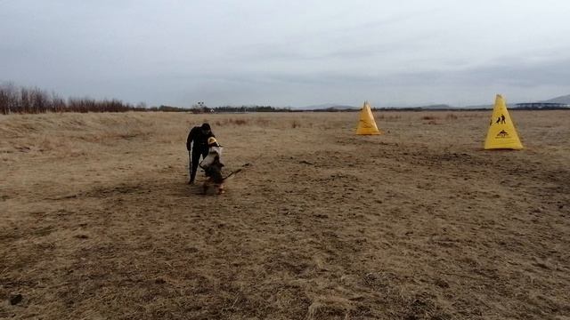 13.  выражено/перв OSTEN STERN OKSY (Napoli V. Bad-Boll – Osten Stern Olesya)