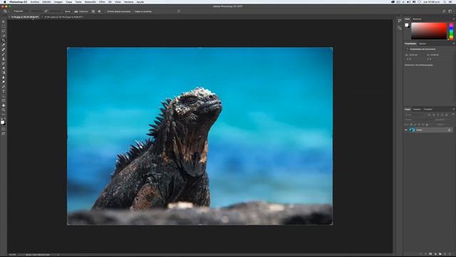 Escalar contenido en Photoshop - Aprender Photoshop en una Semana - Tutorial 13 смотреть онлайн